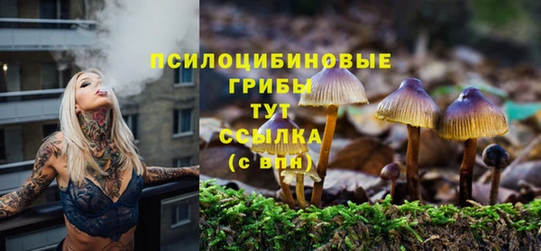 ECSTASY Армянск